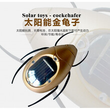 太阳能蟑螂 创意太阳能仿真蚂蚱儿童玩具蟑螂蜘蛛整蛊搞怪微型跑车小汽车 太阳能金龟子 其他大小