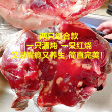 甲鱼现杀现发外塘老鳖鲜活甲鱼食用王八真空包装新鲜 净重【2-2.3斤】3人组合款