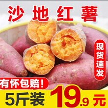 新鲜小红薯沙地红蜜薯红心红薯地瓜番薯山芋毛重 5斤实惠装