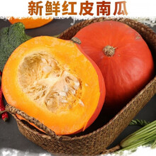 山东红皮南瓜黄金南瓜小金瓜万圣节南瓜红南瓜 精品5斤装