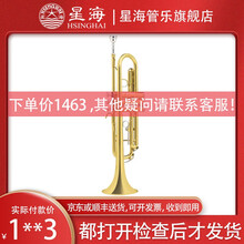【工厂旗舰店】星海 降B调铜管小号乐器 管乐团标准入门初学儿童学生考级成人演奏 XT-100原装小号（含赠品礼包）