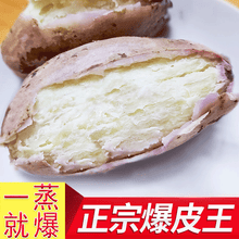 白薯爆皮王10斤 新鲜白心红薯白瓤地瓜干粉香糯白薯蔬菜 大果3斤