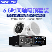 先科5.1天花吸顶音响吊顶装音箱同轴蓝牙家用嵌入式功放喇叭套装3D环绕重低音立体声家庭影院客厅电视 2.0（6.5吋同轴吸顶套装） 官方标配