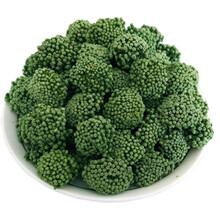 康中尊 三七花正宗云南文山特产四年头茬新花晒干田七花茶春季37花茶 四年三七花500克