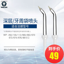 适配于waterpik洁碧喷头 水牙线喷嘴 洗牙器配件 冲牙器喷头 通用替换 牙洁狮喷嘴 牙周喷头【2支装】PP-100E