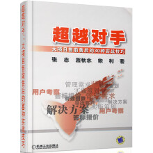 超越对手：大项目售前售后的30种实战技巧