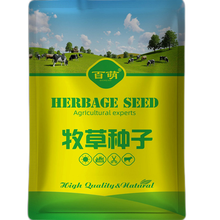 百萌牧草种子四季多年生黑麦草紫花苜蓿草籽菊苣草种墨西哥玉米草种子抗旱高产喂养鸡鸭鹅猪牛羊鱼兔种籽 皇后 进口北方型紫花苜蓿种子1斤装 （裸种型） 厂商封装