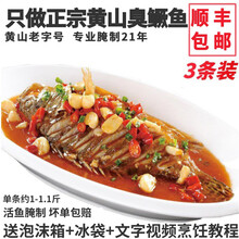 老徽乡正宗安徽臭鳜鱼黄山臭桂鱼净膛1.0-1.1斤3条装徽州美食臭鲑鱼桂鱼