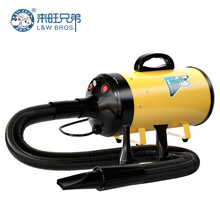 简斯狗狗吹风机大功率宠物吹水机中大型犬金毛萨摩耶猫洗澡吹毛烘干机黄色款(PD-9001) 黄-无级变速款吹水机