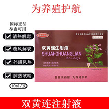 兽药兽用双黄连注射 液猪牛羊猫狗清热解毒退烧咳嗽气喘宠物 1盒价