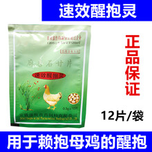 禽药速效醒抱灵抱醒宁鸡药片剂母鸡用赖抱母鸡醒抱抱窝恋窝 4g/100袋