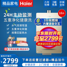 海尔燃气热水器 24小时智能CO安防水气双调智能记忆智能恒温低水压启动 五重净水健康洗 天然气热水器 【炫金全面屏16L】【智慧节能+水气双恒温】 【智能安防+智能语音交互】