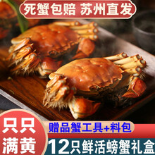 【活蟹】12只阳澄东湖大闸蟹鲜活螃蟹现货海鲜水产礼盒装 全母蟹：2.5-2.8两（12只）