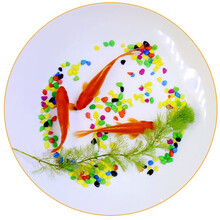 鱼多趣  锦鲫活体 草金鱼 观赏鱼淡水鱼冷水鱼  3条（10-12cm）