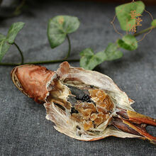 【正宗雪蛤干】整支东北长白山雪蛤油蛤蟆干林蛙干雪蛤膏雪蛤线油 足8克1支