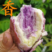 新鲜番薯农家沙地冰淇淋番薯一点红紫心红薯皮薄肉厚香甜粉糯 9斤小果