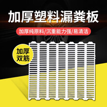 派克斯 猪用漏粪板 母猪产床漏粪板 猪圈地板牛羊猪用养殖设备 漏粪板双筋（50*70CM）
