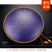 鲁儒空灵鼓 hluru铜制14寸9音成人级演奏色空鼓手碟鼓钢舌鼓无忧鼓手敲乐器初学者打击乐器大全 14寸泛音斑点紫+鼓架+谱架+教学礼包