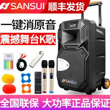 山水（SANSUI） SS1 户外广场舞音响移动拉杆蓝牙音箱便携式低音炮大功率会议室电脑音箱 SS1-15英寸+2话筒