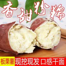 地瓜红薯番白心板栗薯白瓤面糯9/5斤新鲜红薯 9斤装精选大果