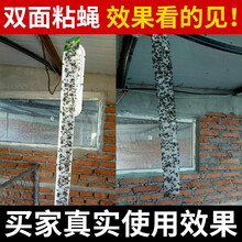 空消粘蝇彩带粘蝇彩条板粘蝇条贴纸粘蝇子卷灭蝇药苍蝇纸苍蝇药苍蝇贴 10条