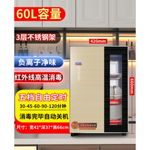 日本樱花消毒柜家用小型台式迷你厨房立式碗柜单门烘干消毒碗筷柜 60升香槟金高温+负离子净味 三层架66CM高