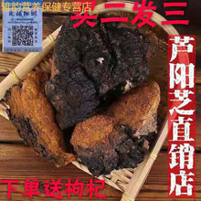 伟博芦阳芝大粒 西藏野生芦阳芝 官网芦阳芝 (买2送1) 矷山芦阳芝 100克买二送一赠送枸杞