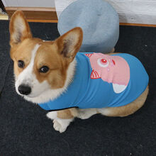 狗狗衣服春秋夏天薄款背心柯基法斗中小型犬泰迪比熊拉布拉多小狗 蓝色 小怪兽图案 XXL建议20-28