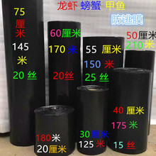 鑫琪 三木园艺 大闸蟹养殖黑色防逃膜小龙虾防逃网螃蟹苗甲鱼水产品池塘塑料围板 60厘米170米加工线