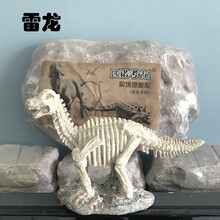 恐龙化石 考古挖掘玩具大号霸王龙剑龙翼龙模型摆件儿童手工3-6-9岁男孩女孩玩具【京闪配送】 雷龙