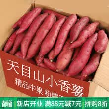 临安天目山小香薯小番薯新鲜红薯地瓜山芋黄心农产品现挖 天目山小香薯(小果) 5斤
