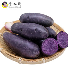 黑土豆紫色土豆农家乌洋芋马铃薯黑金刚农家蔬菜 2500g