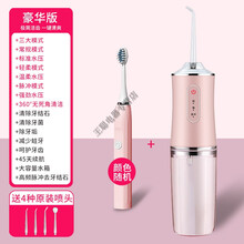 冲牙器便携式家用正畸电动洗水牙线儿童结石神器 粉高频款(4喷头3模式)电动牙刷