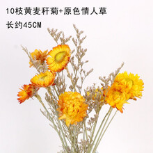 麦秆菊七彩菊干花花束情人草客厅摆件ins小清新家居装饰网红套装 10枝黄色麦秆菊+原人草