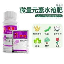 绿亨天宝微量元素水溶肥料农药叶面肥蔬菜果树专用植物生长调节剂 10g