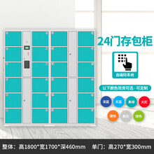 钢虎超市商场电子存包柜智能指纹人脸微信寄存储物柜手机存放柜 24门自编密码    备注颜色