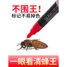 蜂王标记笔 速干中蜂养蜂记号笔不伤蜂王蜜蜂工具育王 红色+绿色