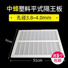 RIG 中蜂隔王板养蜂专用工具立式双王群隔王板 平面高箱隔王板养蜂工具竹制隔王板 【中蜂】平面隔王板（塑料）