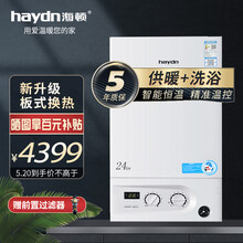 壁挂炉天然气 燃气海顿壁挂锅炉 地暖暖气片采暖炉家用 天然气恒温热水器两用 恒温控制板换机24KW(120-160㎡)