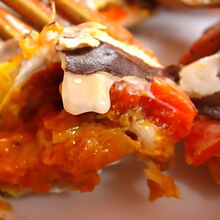 活鲜【冷链运输】鲜活大闸蟹六月黄现货 大闸蟹淡水湖蟹超大蟹尝鲜16只  罗莫利得 全母(2.3-2..8两)10只