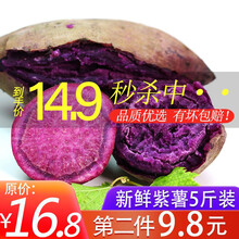 农家紫薯地瓜小香薯香芋香甜软糯 带箱10斤小果