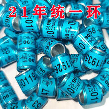 鸽子脚环 信鸽用品用具电子环足环2021年全国统一环赛鸽环记号鸽环 黑龙江08(不带证) 10个21年