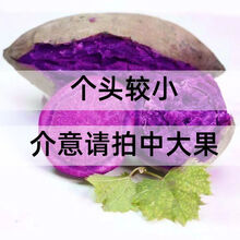 山东沙地小紫薯新鲜代餐番薯地瓜农家蔬菜软糯心薯红 带箱10斤小果