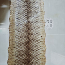 花蛇皮白黄花蛇皮南蛇皮可蒙越胡主胡京胡京二胡坠胡等乐器 中间宽15公分长度1.5米左右