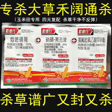 硝磺草酮莠去津烟嘧磺隆氯氟吡氧乙酸玉米田地苗后封杀除草剂 60ml