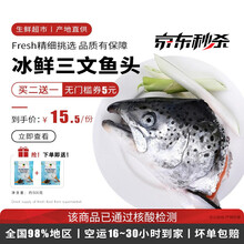 【当天现杀】海泽鲜 挪威冰鲜三文鱼鱼头 约500-650g/1个 海鲜三文鱼鱼头 火锅烧烤食材 冰鲜三文鱼头1个（约550克）