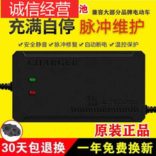 跃能适用于自动断电 电动车电瓶车充电器48V60V72V64V20A通用三轮车充电器 【智能款】充电红灯充满转绿灯 60V20AH通用插口T型