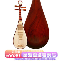 星海（XINGHAI INSTRUMENT）琵琶乐器奥氏黄檀材质花开富贵头专业考级演奏琵琶 原木款【收到即用】