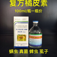 桔皮素橘皮素浇泼剂l杀螨蜱虱蚤猫真菌狗螨虫皮肤病 1瓶价