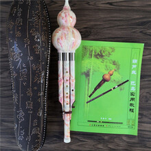 杉贝 SHANBEI 葫芦丝乐器成人初学者儿童入门中小学生零基础防摔胡芦丝抖音同款 粉红款C调+皮盒+教材